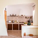 Exclusive Palm House Near The 别墅 阿尔卡莫